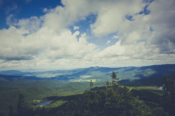 Landscape nature forest rock Photo