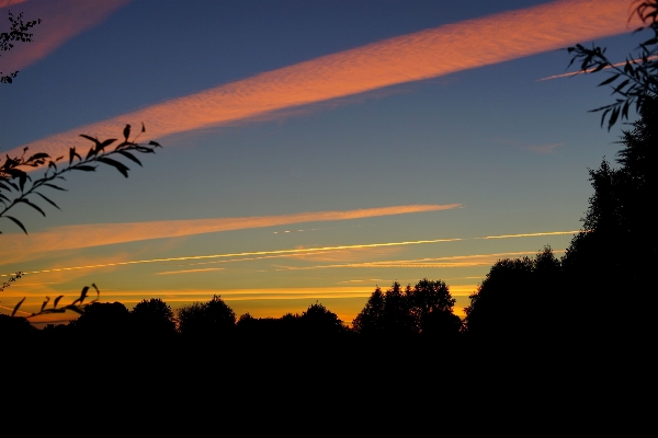 Landscape nature horizon silhouette Photo