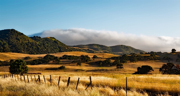 Landscape nature forest wilderness Photo