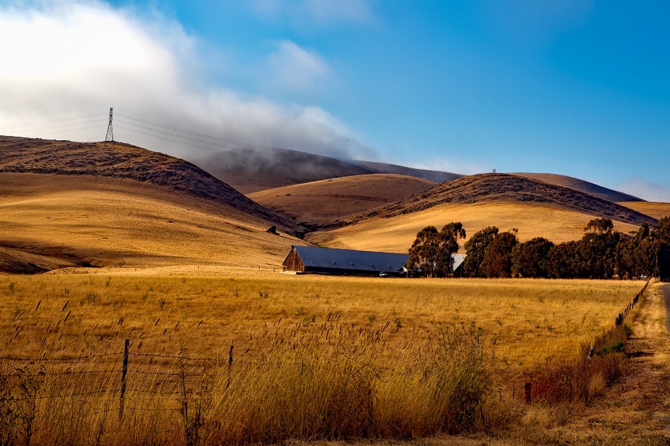 Landscape nature horizon wilderness