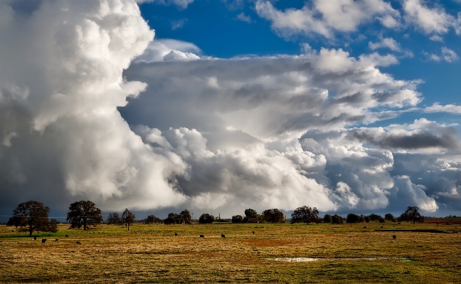 Landscape nature grass horizon Photo