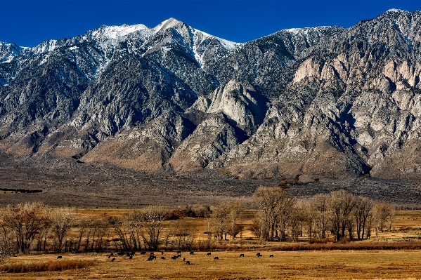 Landscape nature wilderness mountain Photo