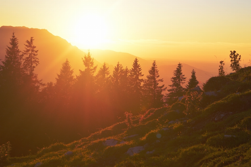 風景 自然 山 太陽