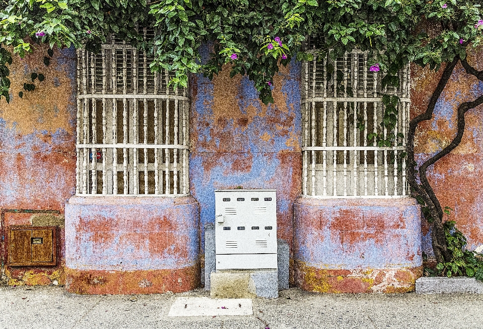 建筑学 街道 房子 镇