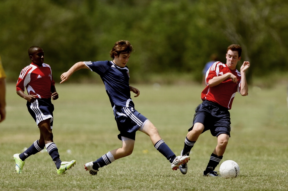 Campo jogo jogar macho