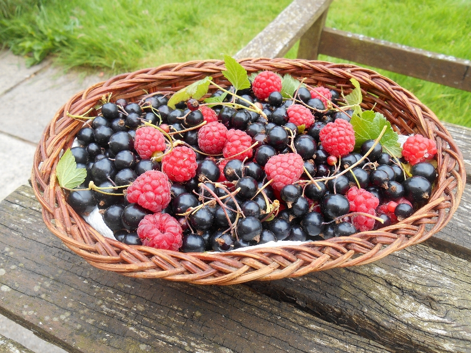 Nature plant raspberry fruit