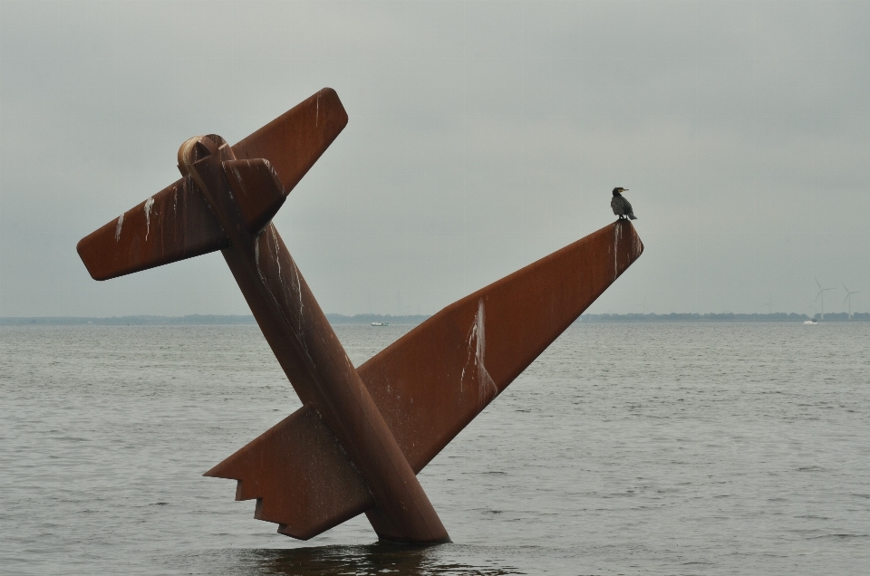 Meer wasser flügel holz