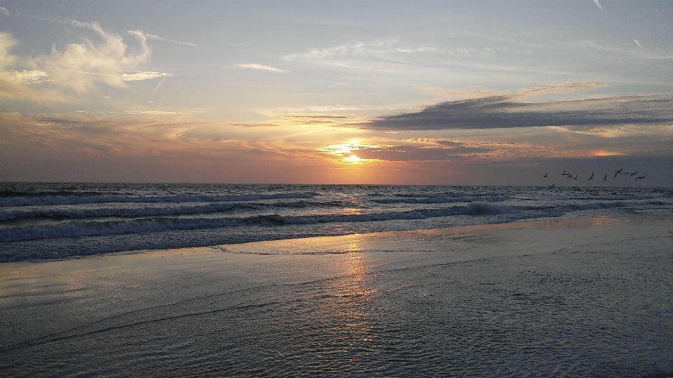 Beach sea coast water