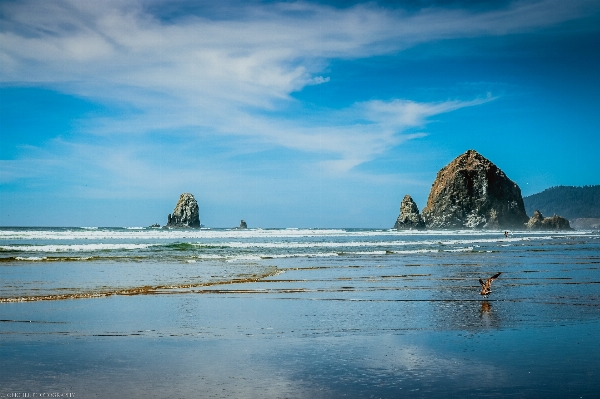 Foto Pantai lanskap laut pesisir