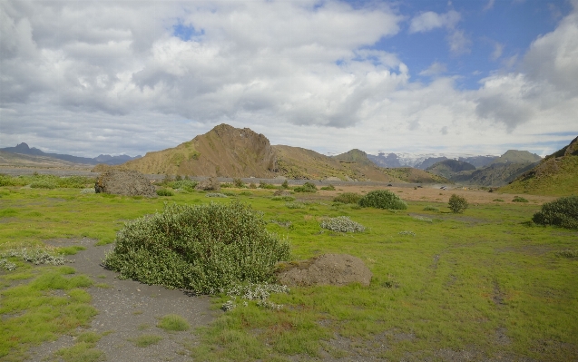 Landscape nature grass wilderness Photo