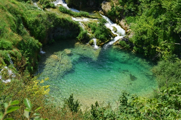 Landscape nature forest waterfall Photo