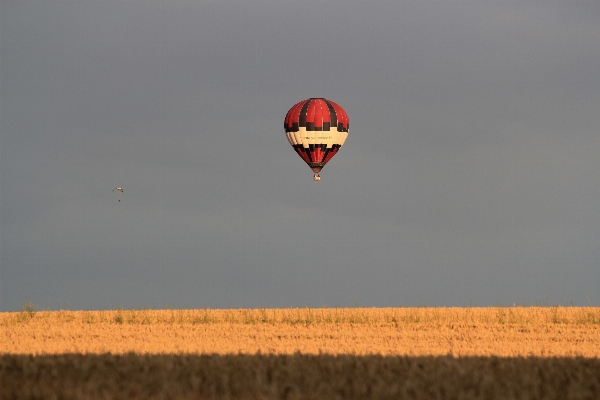 Foto Langit bidang balon udara pesawat terbang