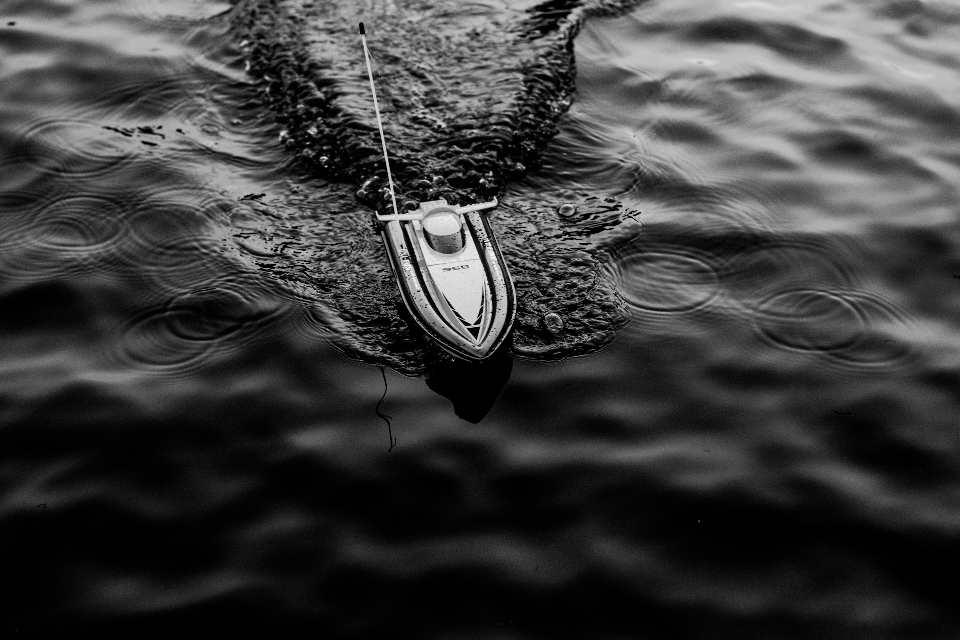 Water wing black and white boat