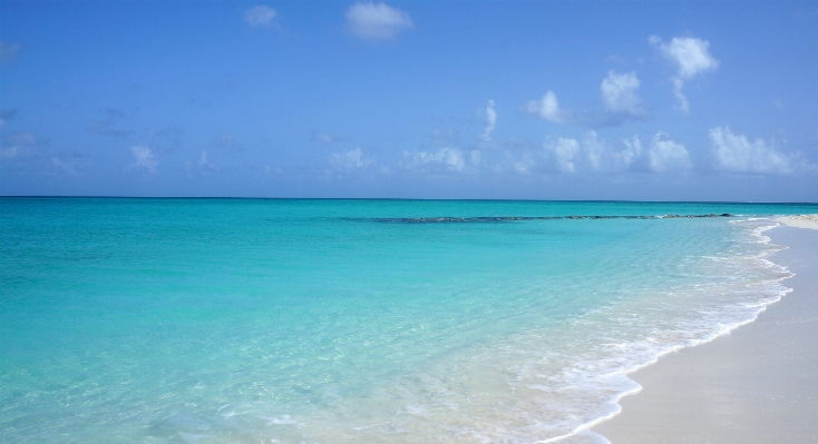 Beach sea coast ocean Photo