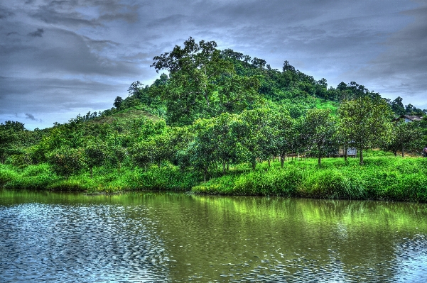 Landscape tree water nature Photo