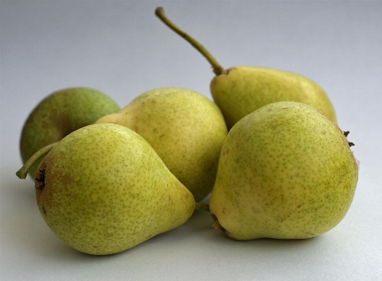 Foto Alam tanaman buah manis