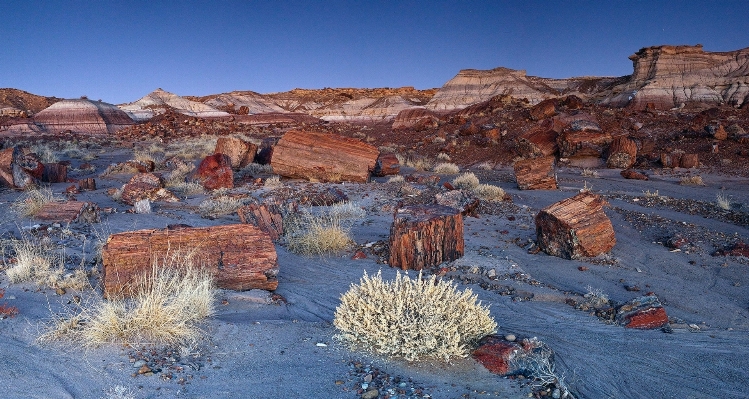 Landscape wilderness winter valley Photo