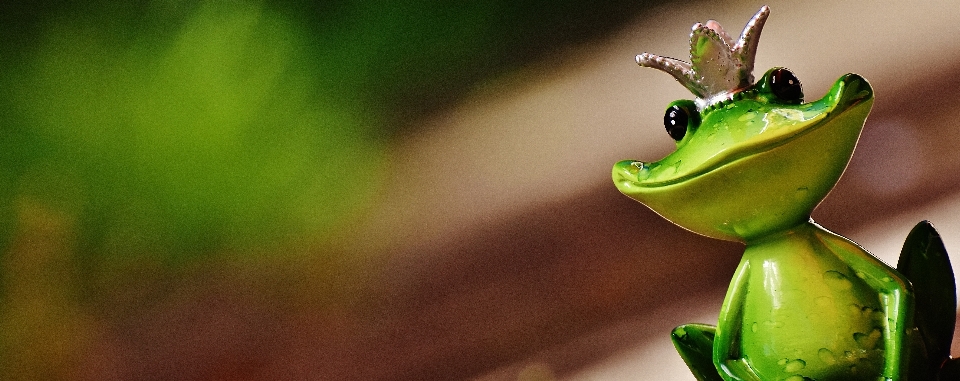 Natur anlage fotografie süss