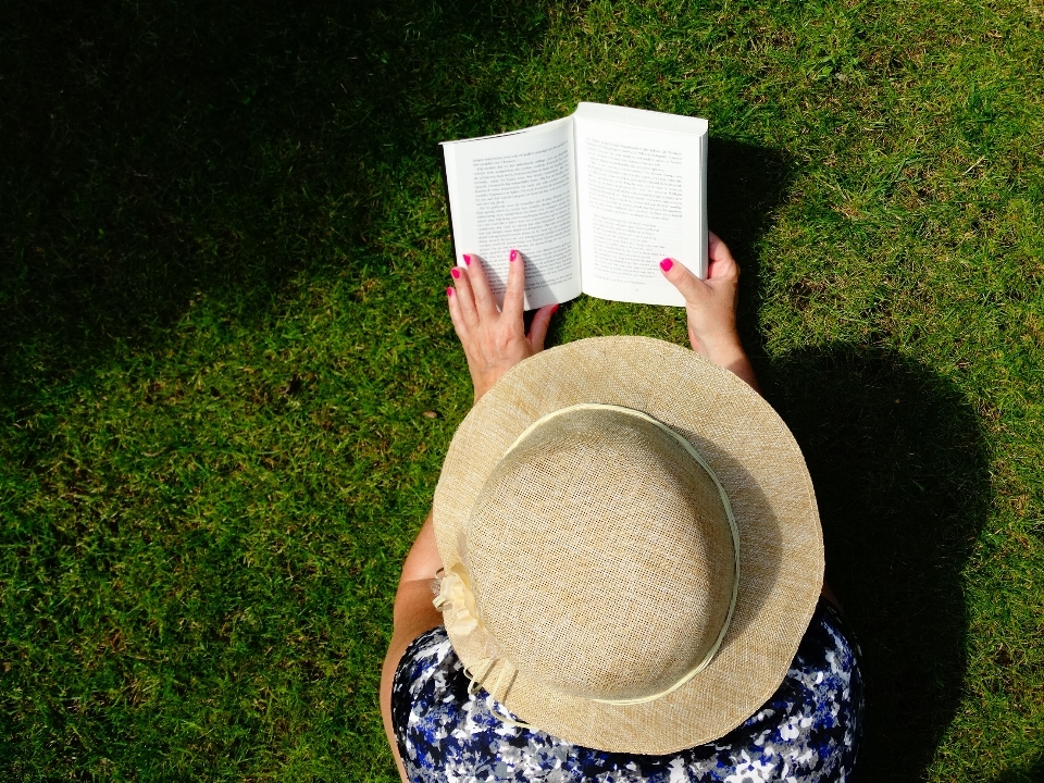 Césped libro leer verano