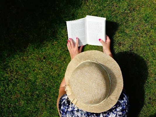 Grass book read lawn Photo