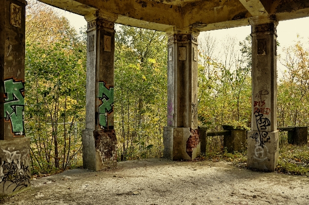 木 森 villa 年 写真