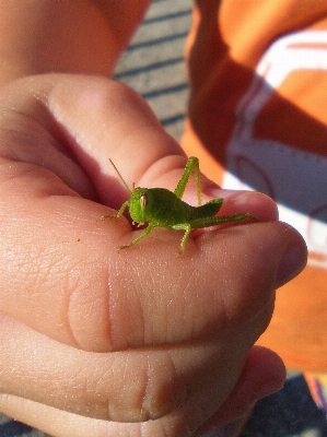 Hand leaf flower leg Photo