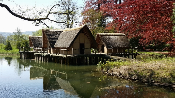 Foto árvore água casa flor