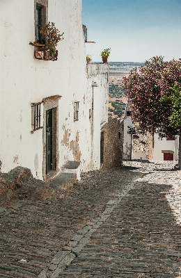 Architecture road street house Photo