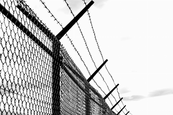 Cold fence barbed wire black and white Photo