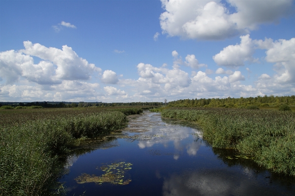 Landscape water nature grass Photo