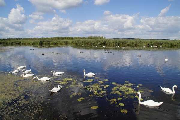 Landscape sea water nature Photo