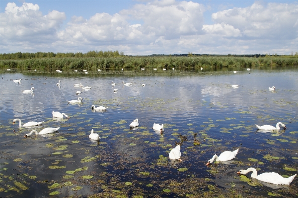 Landscape sea water nature Photo