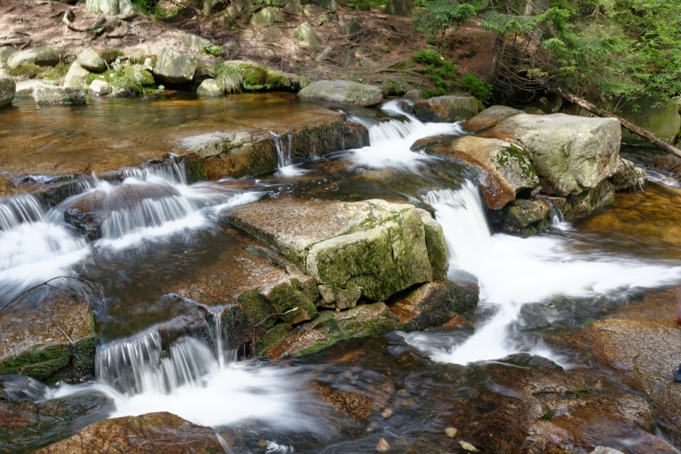 Water nature waterfall creek