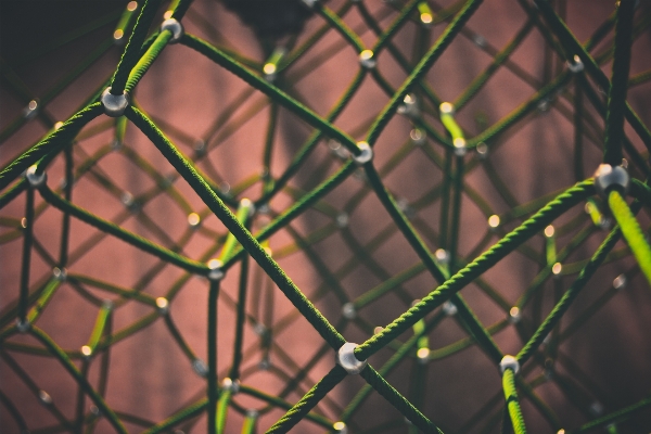 Foto Natura erba ramo corda