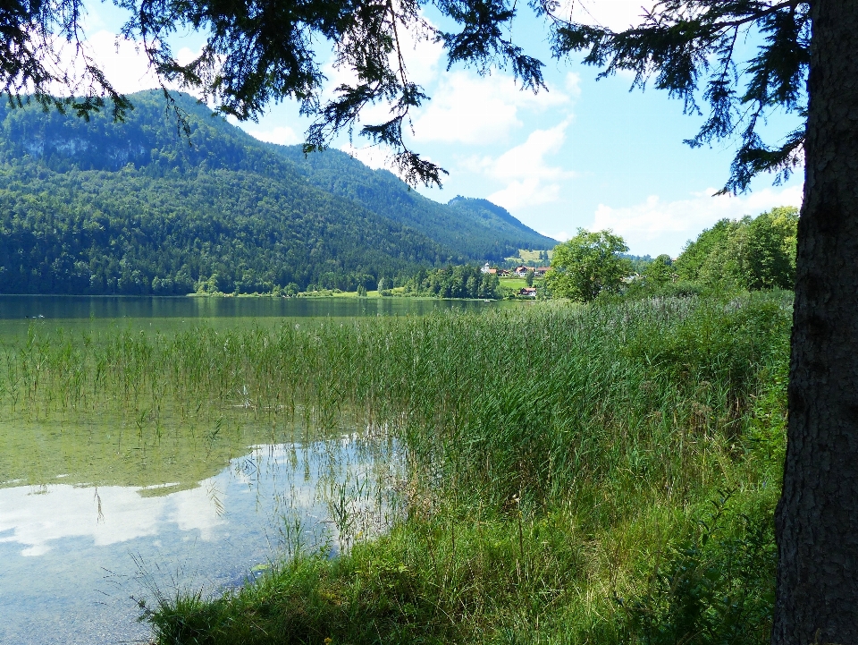 Landschaft baum natur wildnis
