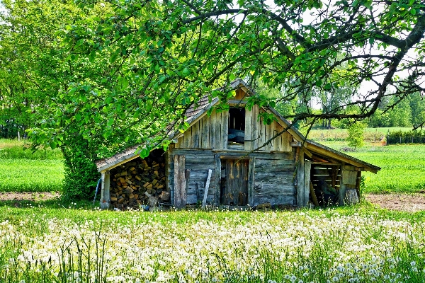 Landscape nature grass farm Photo