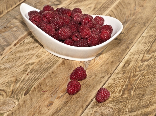 Nature plant raspberry fruit Photo