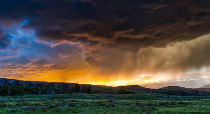 Landscape nature forest horizon Photo