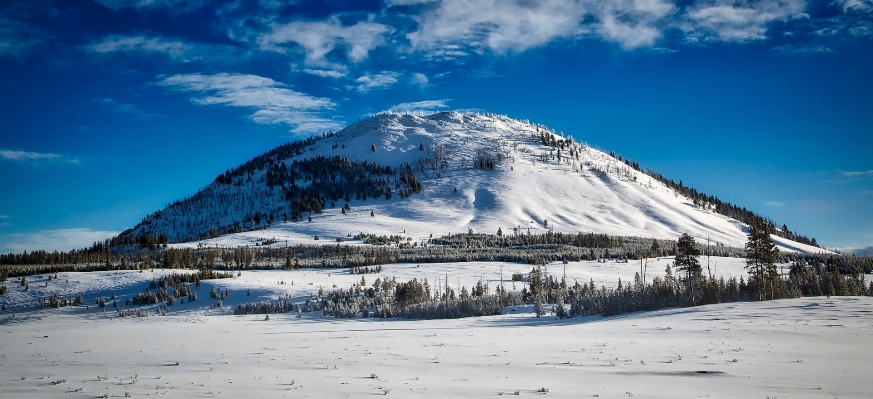 Landscape nature forest mountain Photo