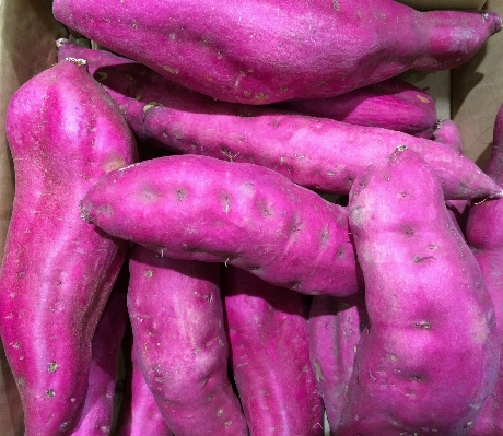 Purple food produce vegetable Photo