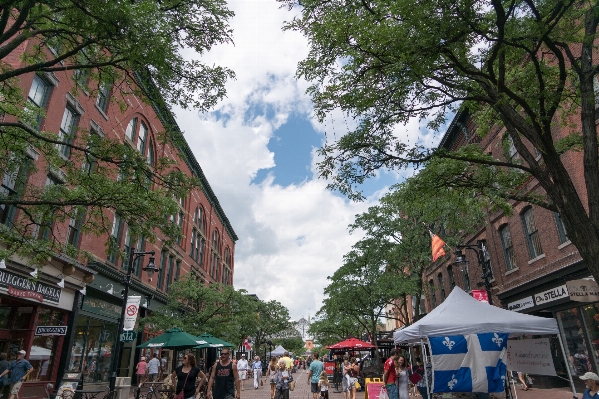 Architecture road street town Photo