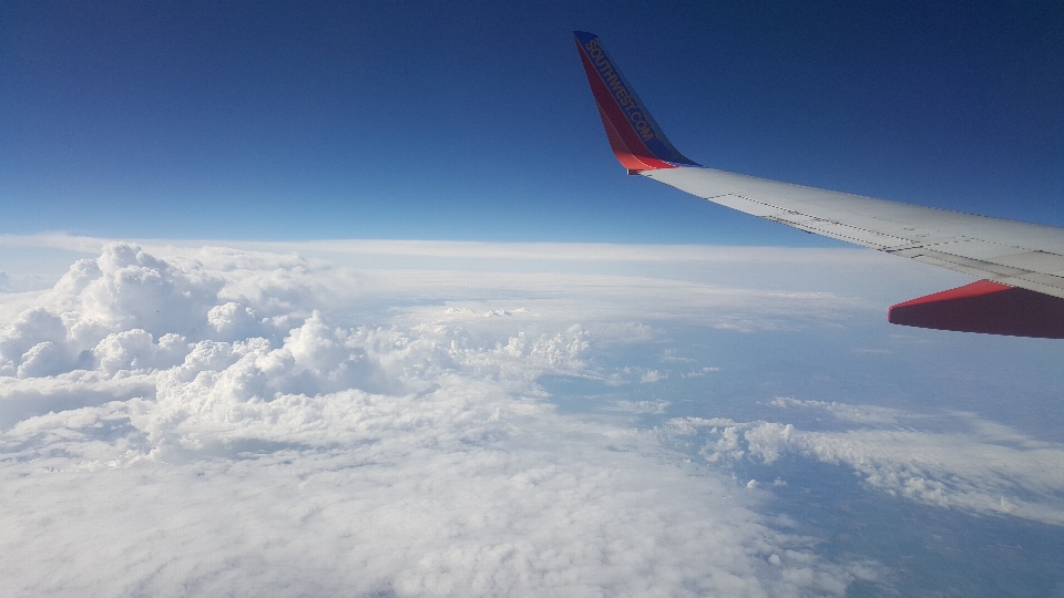 地平線 羽 クラウド 空