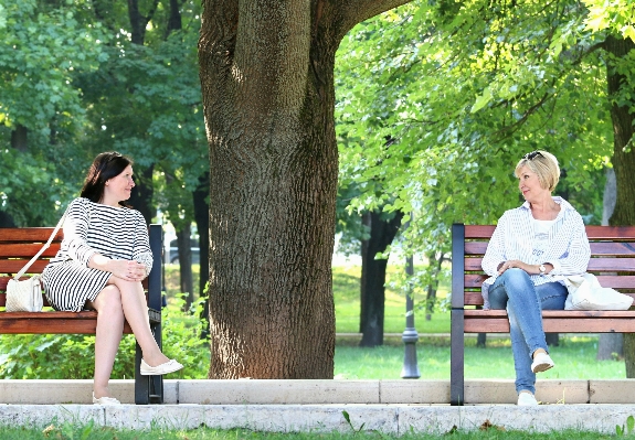 People bench lawn vacation Photo