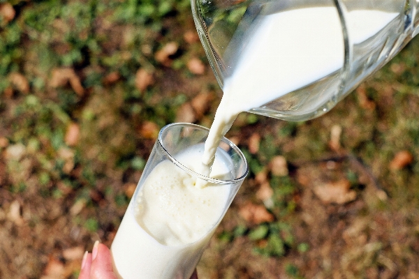 White glass food produce Photo