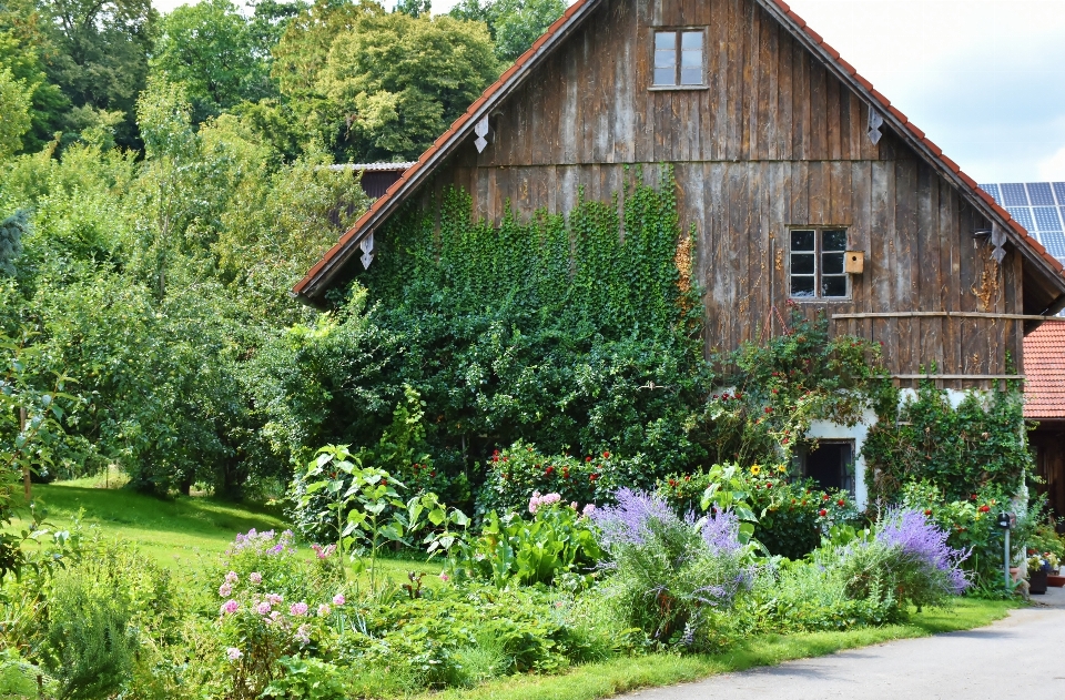 Natur holz bauernhof rasen