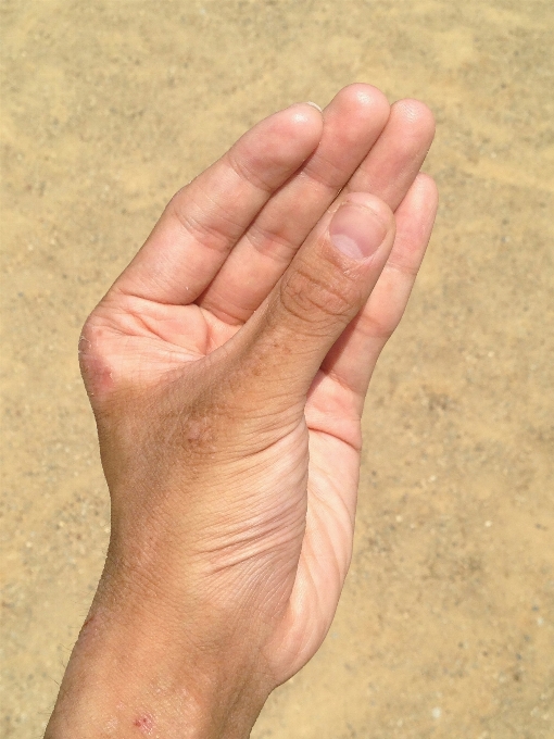 Hand beach sea coast