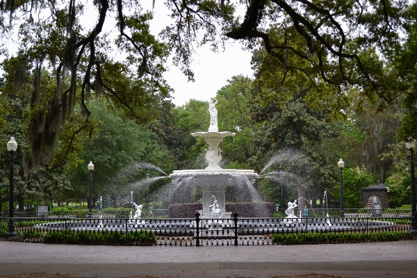 City monument park scenery Photo