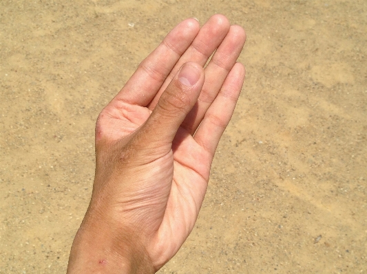 Hand beach sea coast Photo