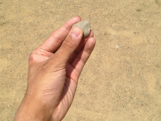 Hand beach sea coast Photo