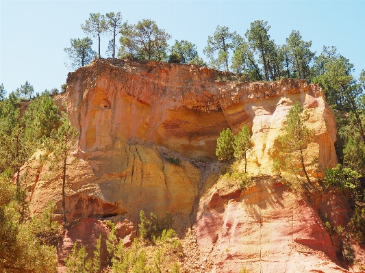 Tree rock wilderness trail Photo